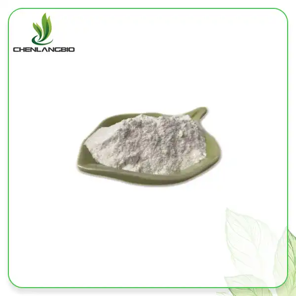 Enzyme Powder